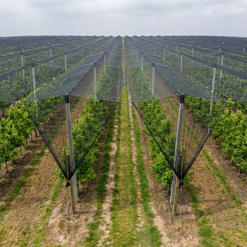 SUGRAND Red Anti Granizo para Granjas Huertos