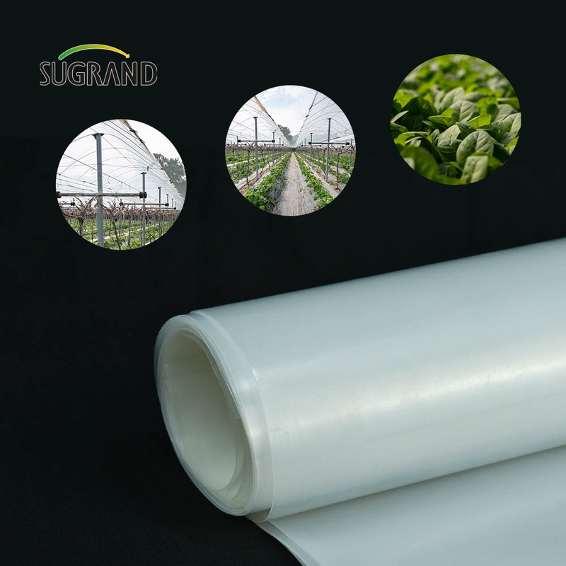 Price de fábrica barato Película de invernadero impermeable 150 micronas de invernadero para huertos para huertos
