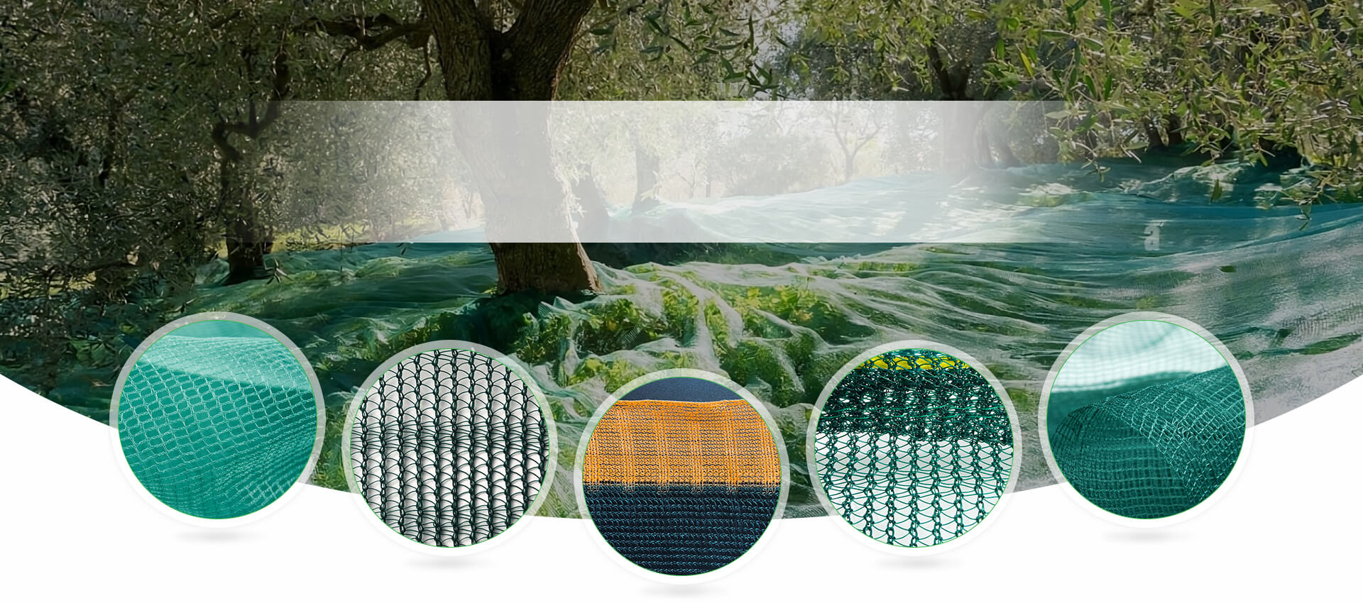olive net factory