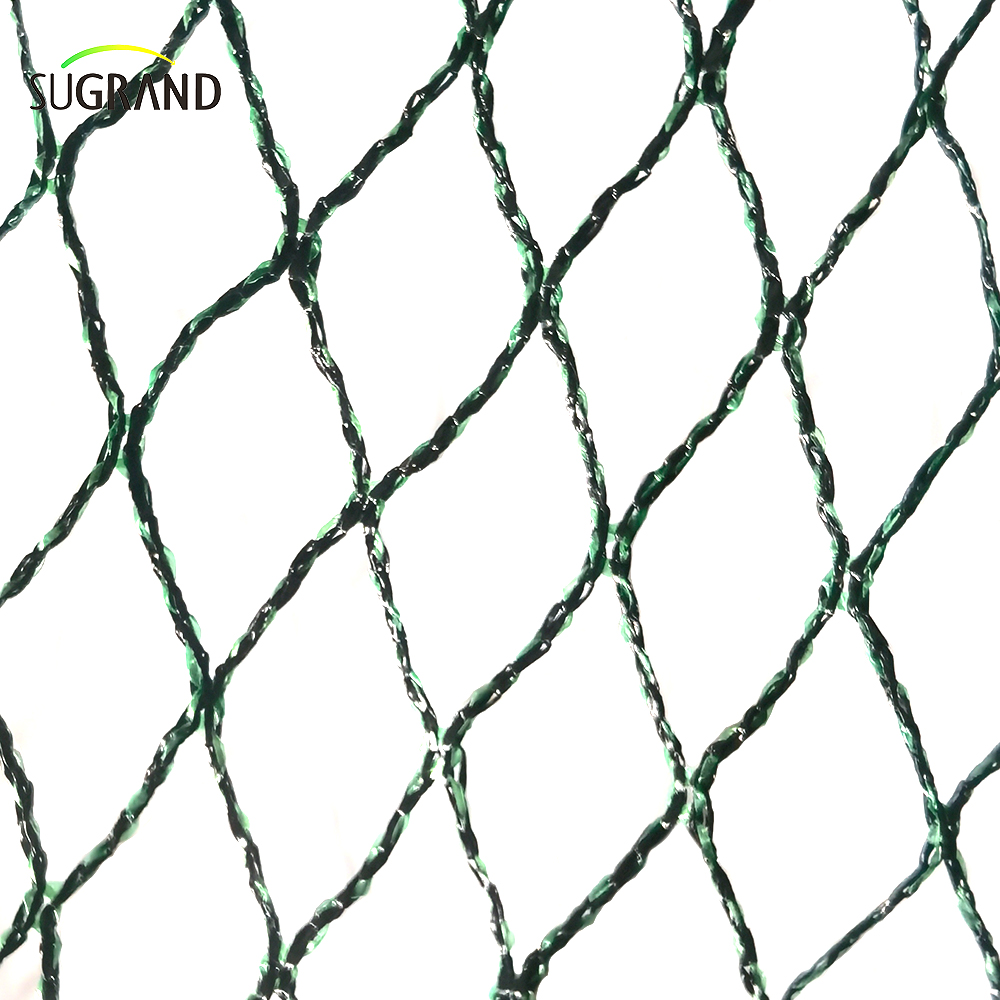 República Checa100% HDPE+UV 25GSM 20*20 mm MESH 5*6/12M Agricultura verde negro Catching Bird Mist Netting