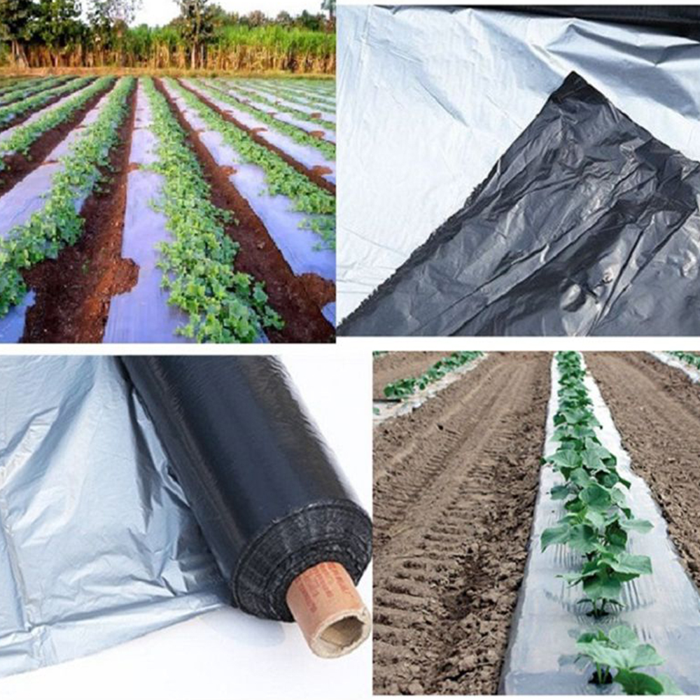 película de mantillo