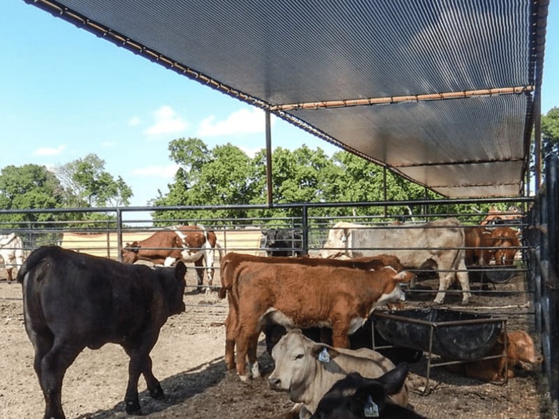 red de sombra de sol