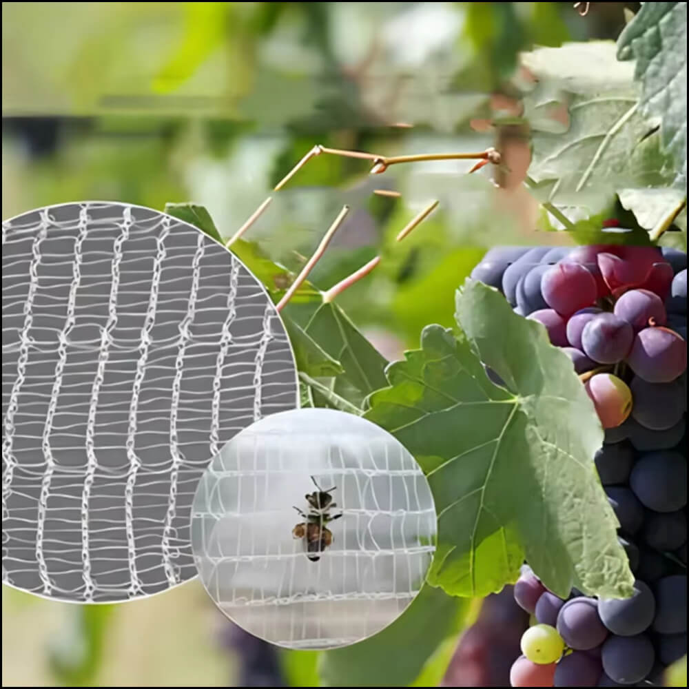 Compañía neta anti -bee