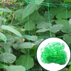 Garden verde blanco Balck enrejado