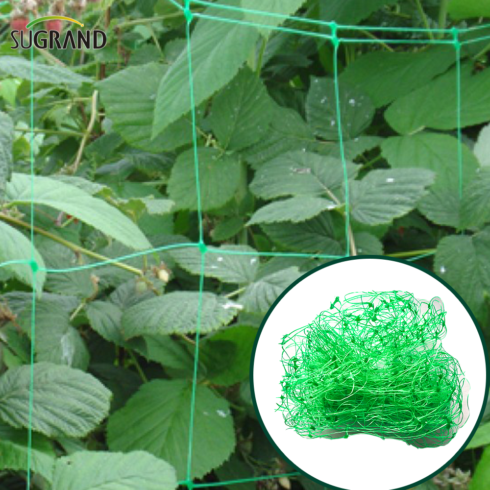 Garden verde blanco Balck enrejado