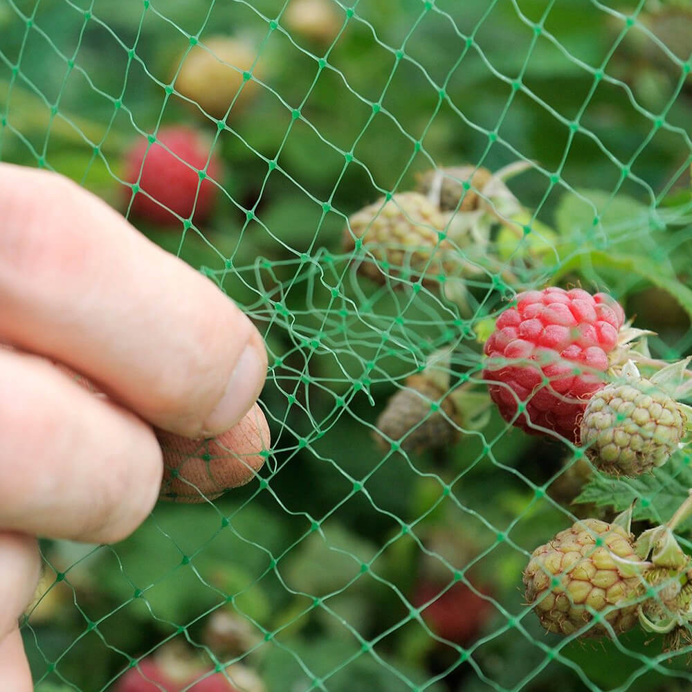 Red antipájaros para huerto y granja