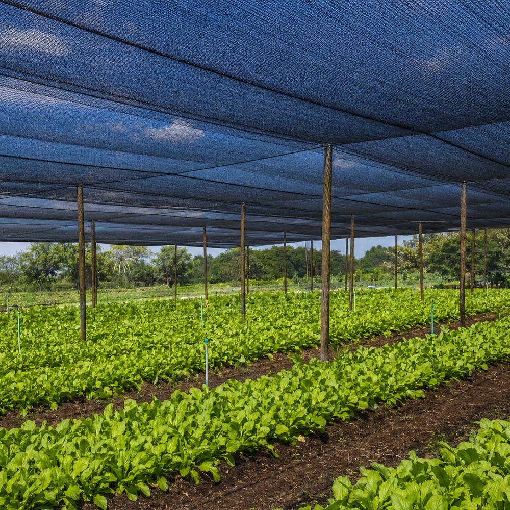 Venta al por mayor Red de sombra negra mono tejida HDPE