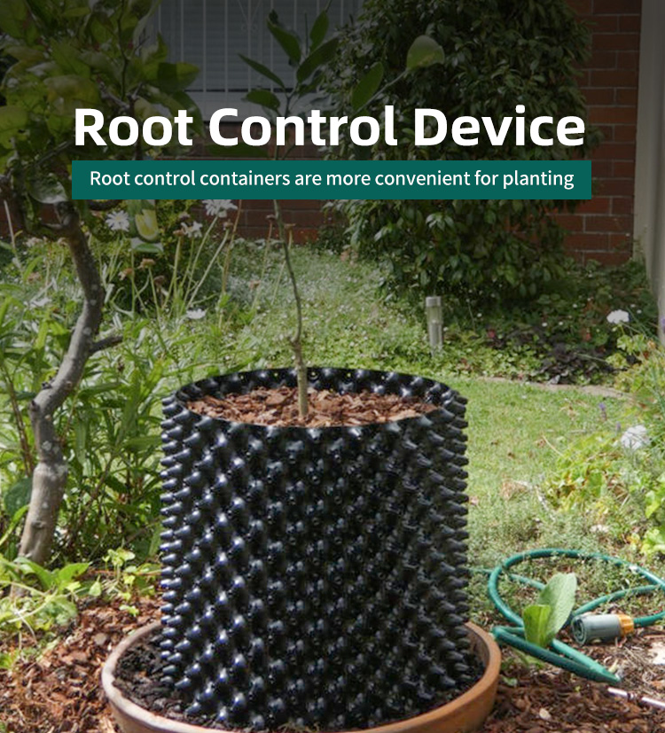 Contenedor de control de raíz