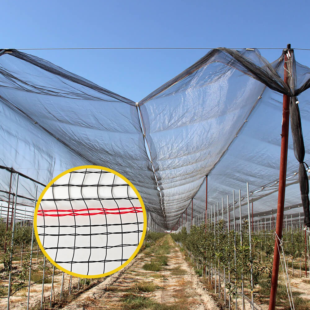 Red antigranizo tejida de primera calidad para viñedos