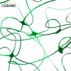8gsm-10gsm Red de soporte de planta de HDPE verde