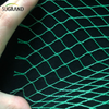 Green Bird Net 4x30m Net Net para proveedores del mercado de Tailandia