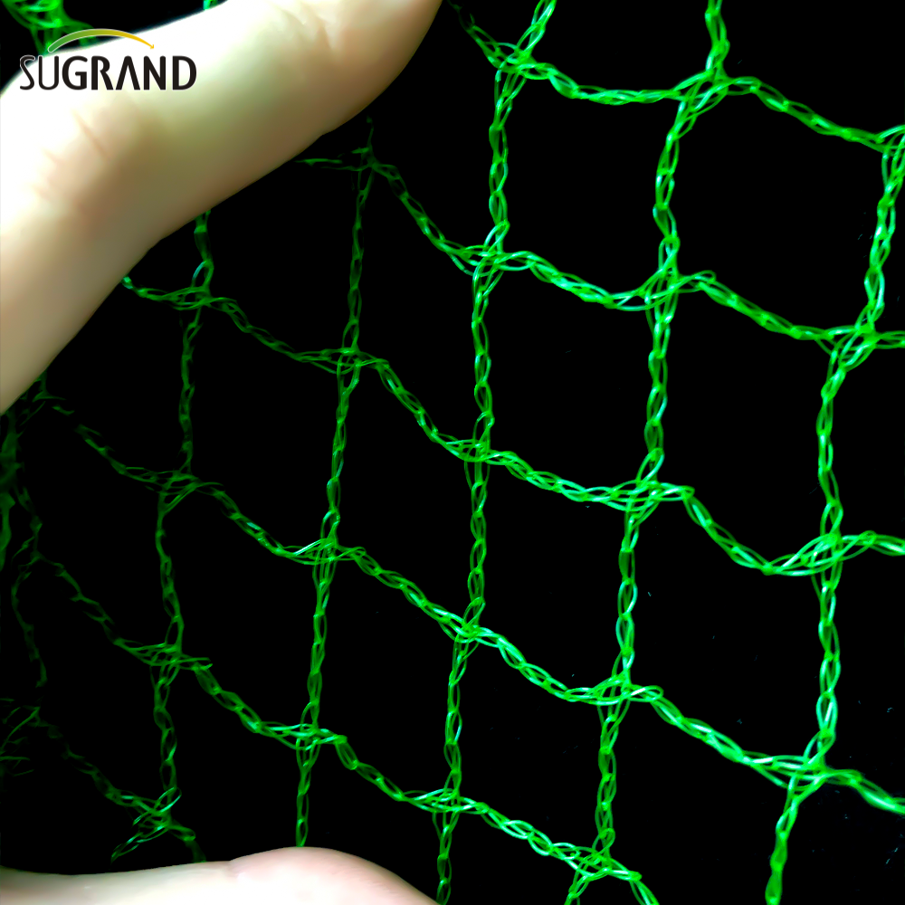 Red de pájaros verde tejida de 10mm-30mm para atrapar pájaros