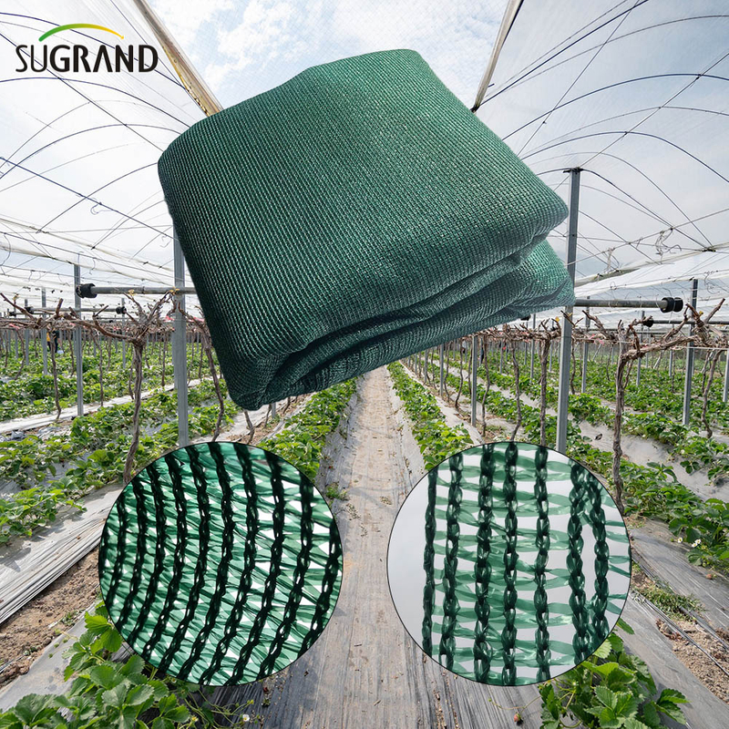 Sun Shade Net Factory Outlet HDPE con red de sombra de sol verde resistente a los rayos UV