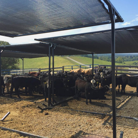 agricultural netting.jpg