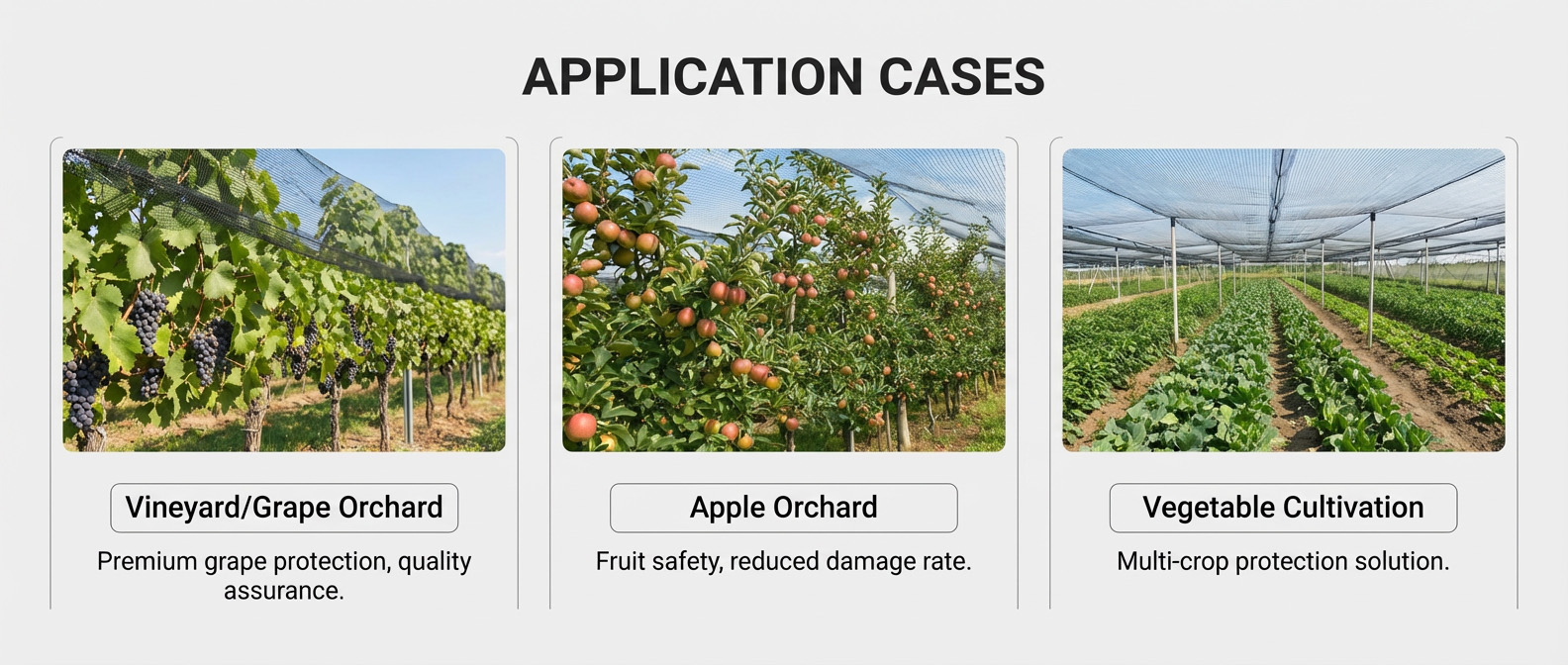 jard&iacute;n de red contra granizo.jpg