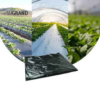 Precio barato de fábrica Mulch Black Mulch Biodegradable UV Mulch Film para agricultura