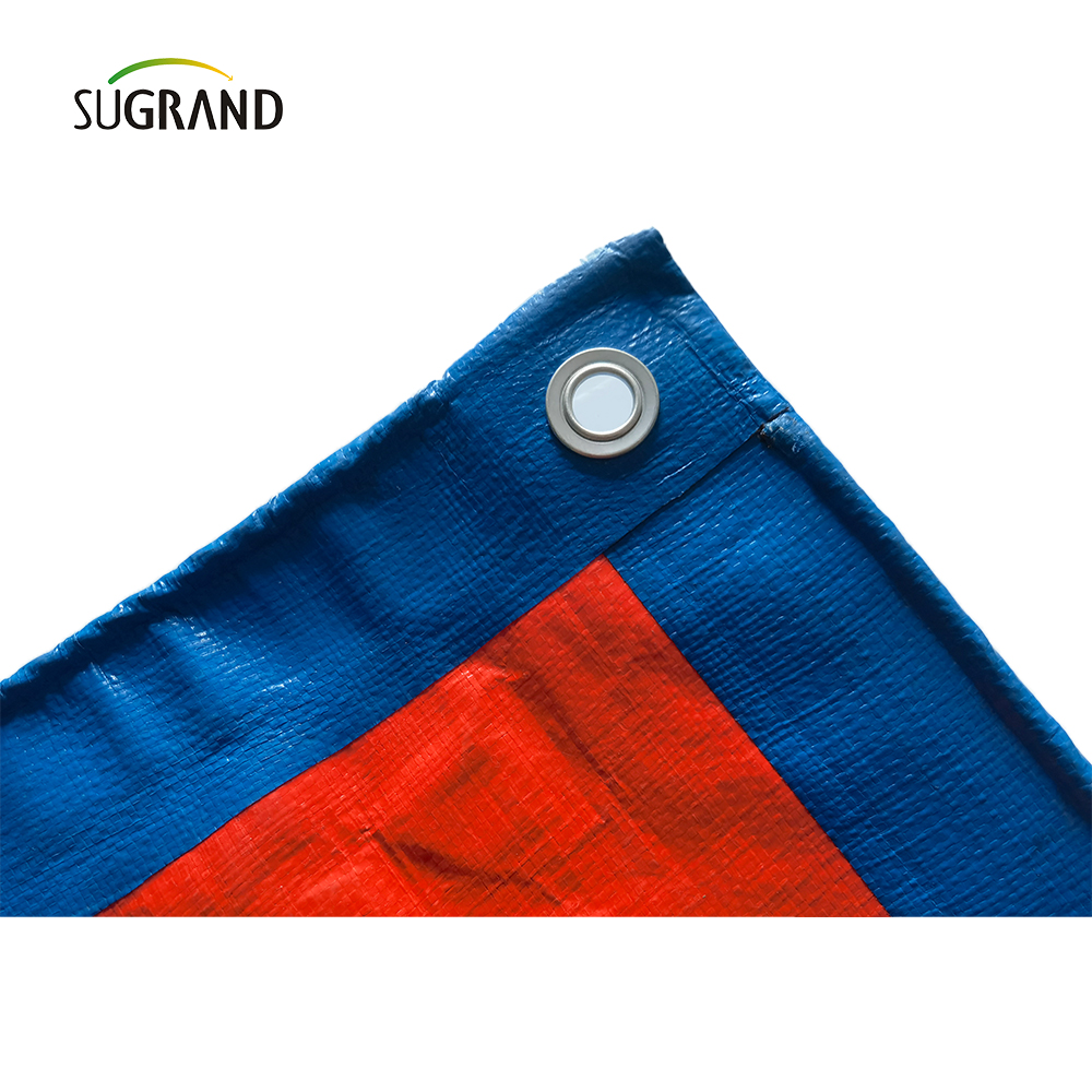Orange and Blue UV Protect Plass PE Tarpaulin Agricultura Fabricantes de cobertura industrial