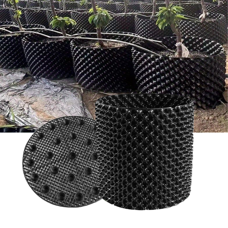 Contenedor de control de la raíz de la planta