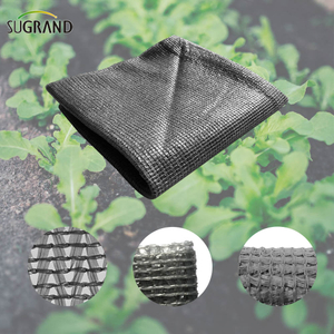 Seis agujas mono cinta gris neto de sombra