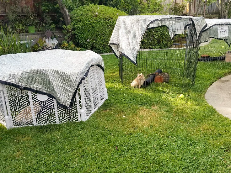 Los principales fabricantes de redes agrícolas en Bangalore