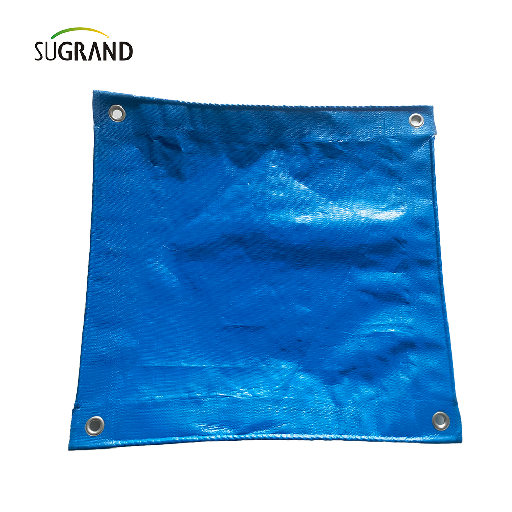 Orange and Blue UV Protect Plass PE Tarpaulin Agricultura Fabricantes de cobertura industrial