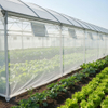 Red de insectos de malla HDPE 40 para hortalizas de invernadero