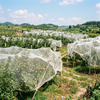 Red de insectos de malla HDPE 40 para hortalizas de invernadero