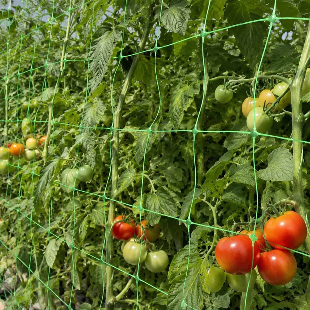 Red de soporte para plantas al por mayor y red de enrejado para cultivos