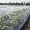 Red de insectos de malla HDPE 40 para hortalizas de invernadero