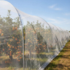 Red de insectos de malla HDPE 40 para hortalizas de invernadero