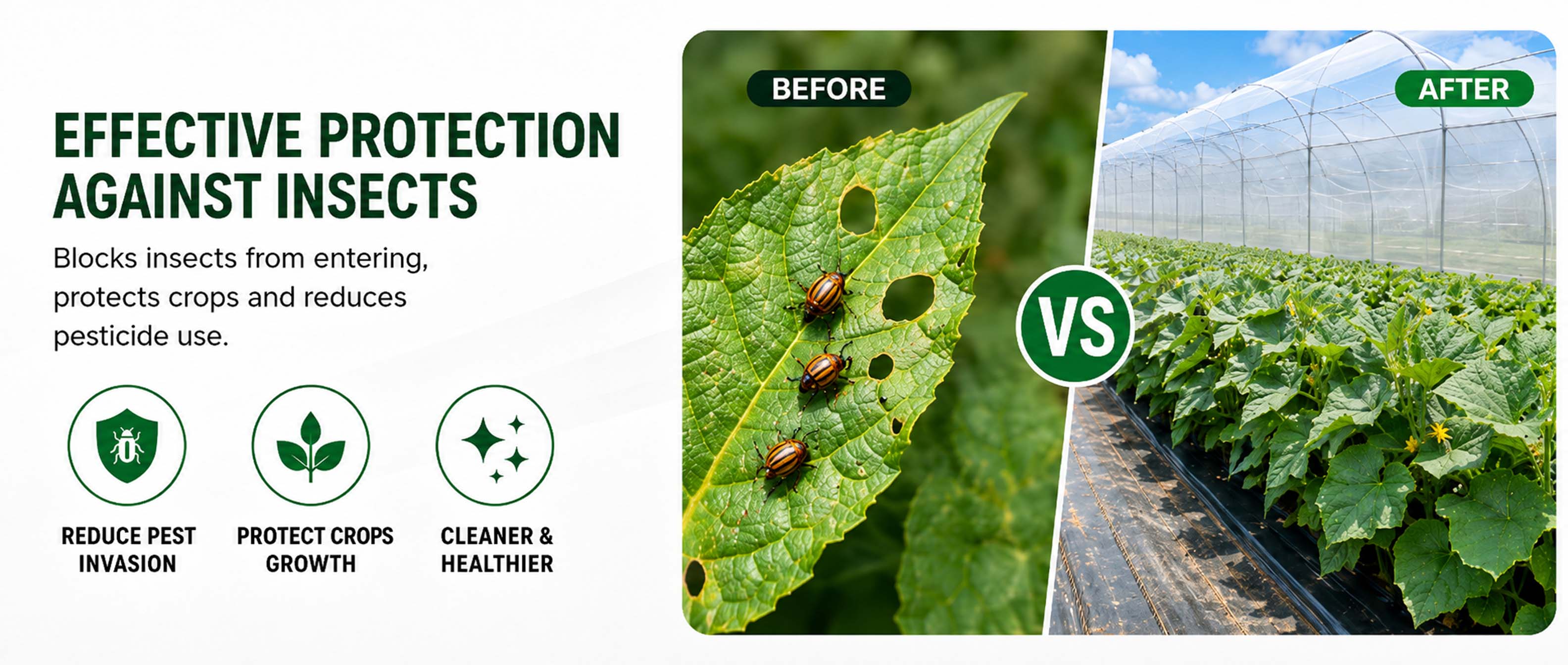 proveedor de red anti insectos.jpg